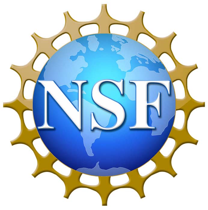 NSF logo